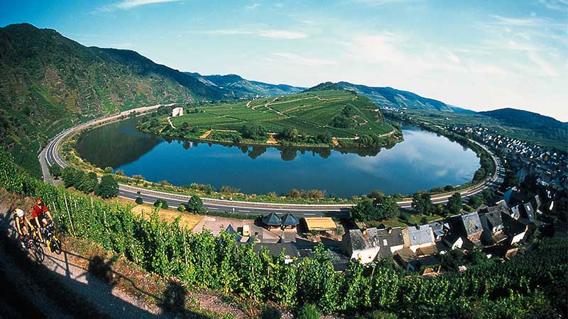 Vinresa till Moseldalen med panoramavy �ver flodkr�k och vinodlingar l�ngs Mosel.
