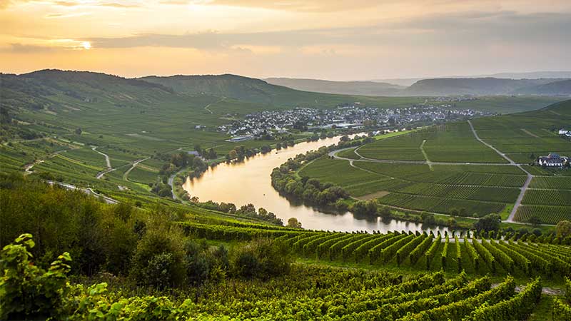 Champagne - Alsace - Mosel