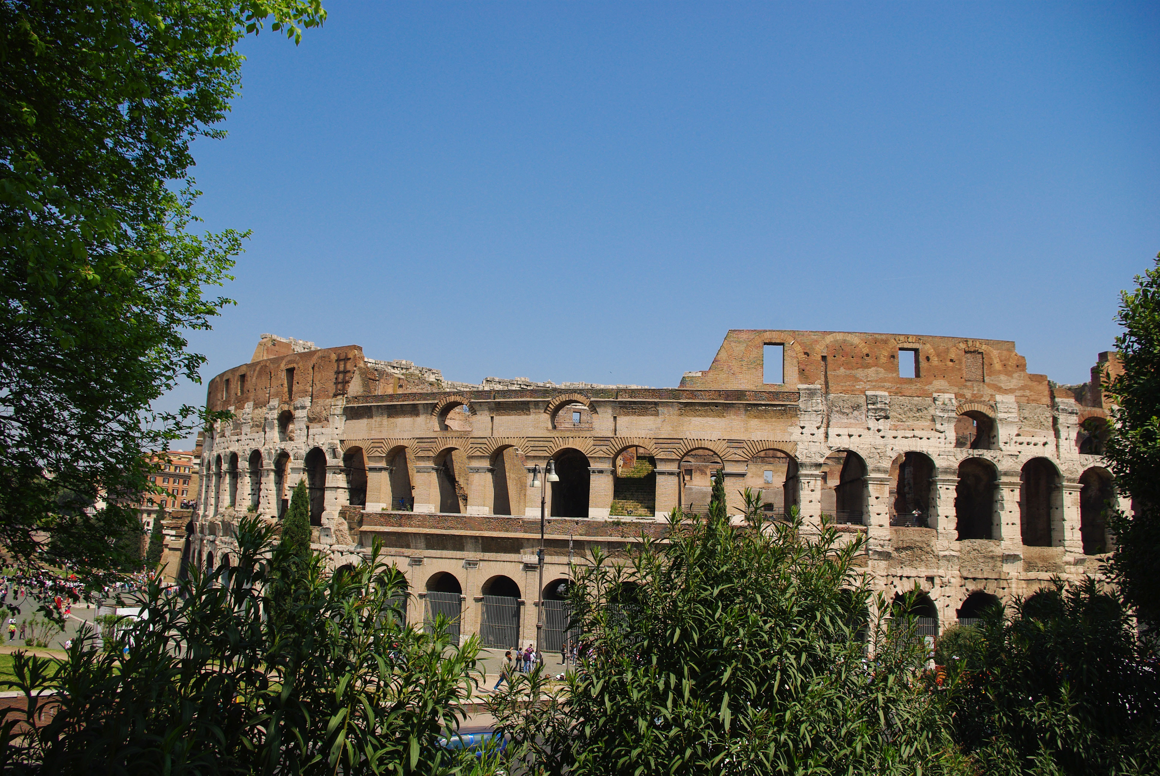 Colosseum i Rom, Italien, sett fr�n utsidan med antika murar och gr�nskande tr�d under klarbl� himmel.