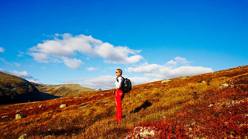 Upplev Fj�llet brinner � f�rgsprakande natur och bussresa med Tj�rnarpsbuss i Norge