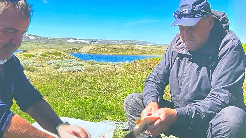 Tv� m�n rensar fisk vid vattnet i Geilos natursk�na landskap � en stund av friluftsliv och gemenskap