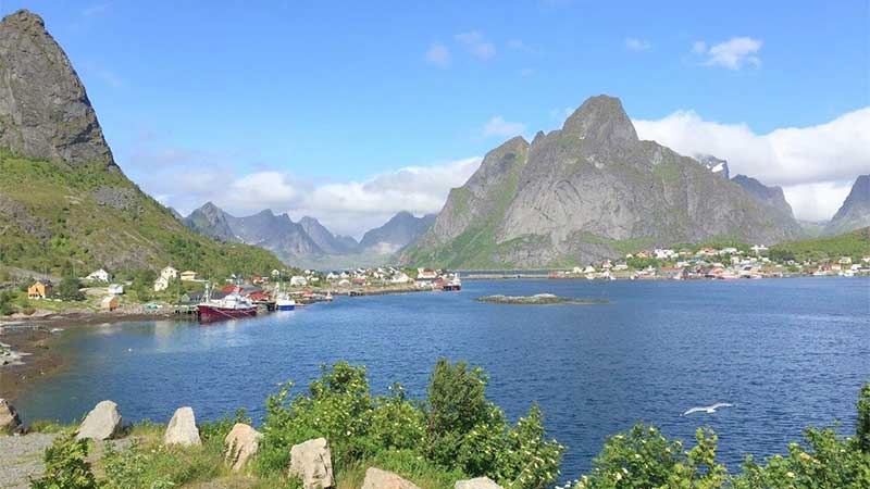 Sommarlandskap i Lofoten � bussresa med Tj�rnarpsbuss genom sk�rg�rd, berg och dramatisk kust i Nordnorge