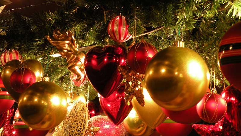 Åk på julresa med Tjörnarpsbuss och fira jul med oss i Dalarna