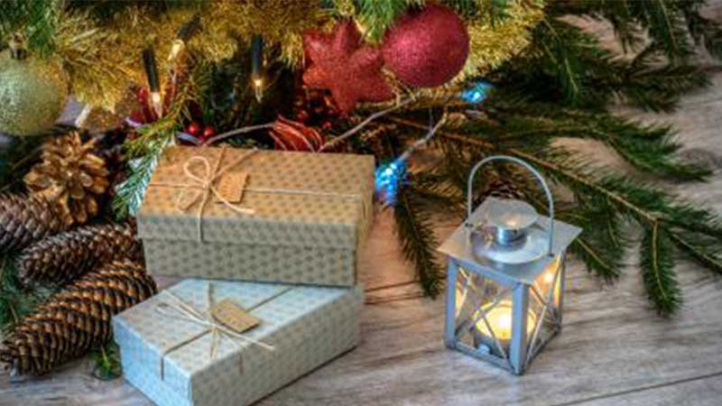 Julklapp till alla som �ker p� julresa med buss till Dalarna med Tj�rnarpsbuss