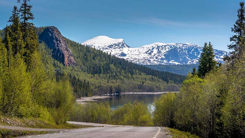 Vildmarksvägen – Sveriges högsta asfalterade väg, genom fjällvärld och samiskt kulturlandskap. Upplev natur och vilda renar.