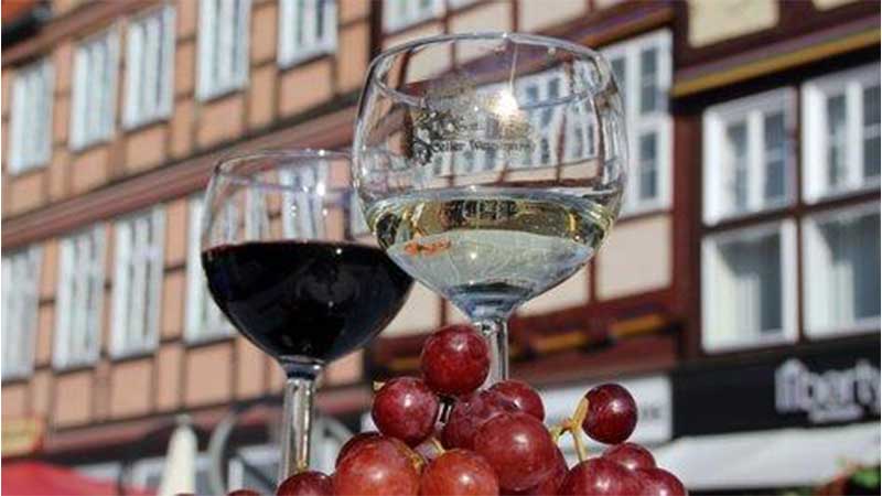 F�lj med Tj�rnarpsbuss till Spreewald med vinprovning i natursk�n milj�.