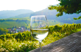 R�desheim med vinfest