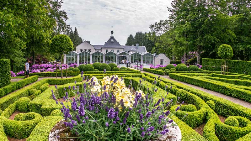 Norrvikens tr�dg�rdar buxbomsh�ckar i rokoko tr�dg�rden. 