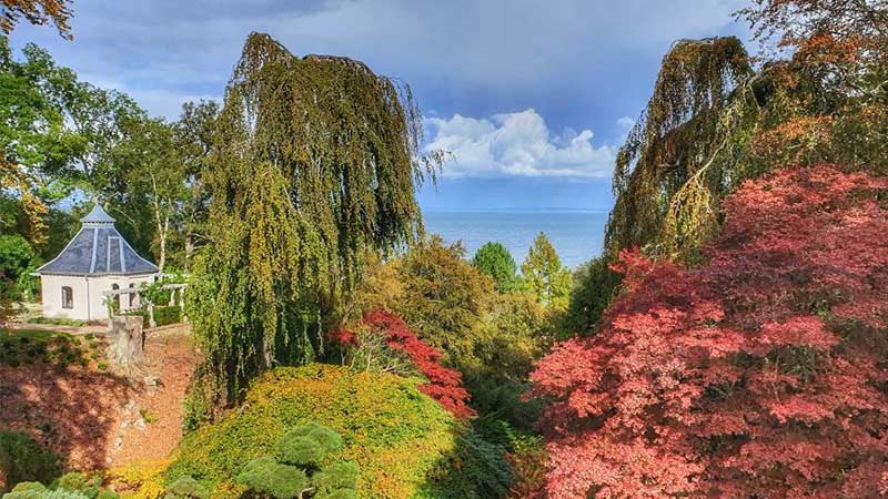 Norrvikens tr�dg�rdar med utsikt �ver ravinen och havet.
